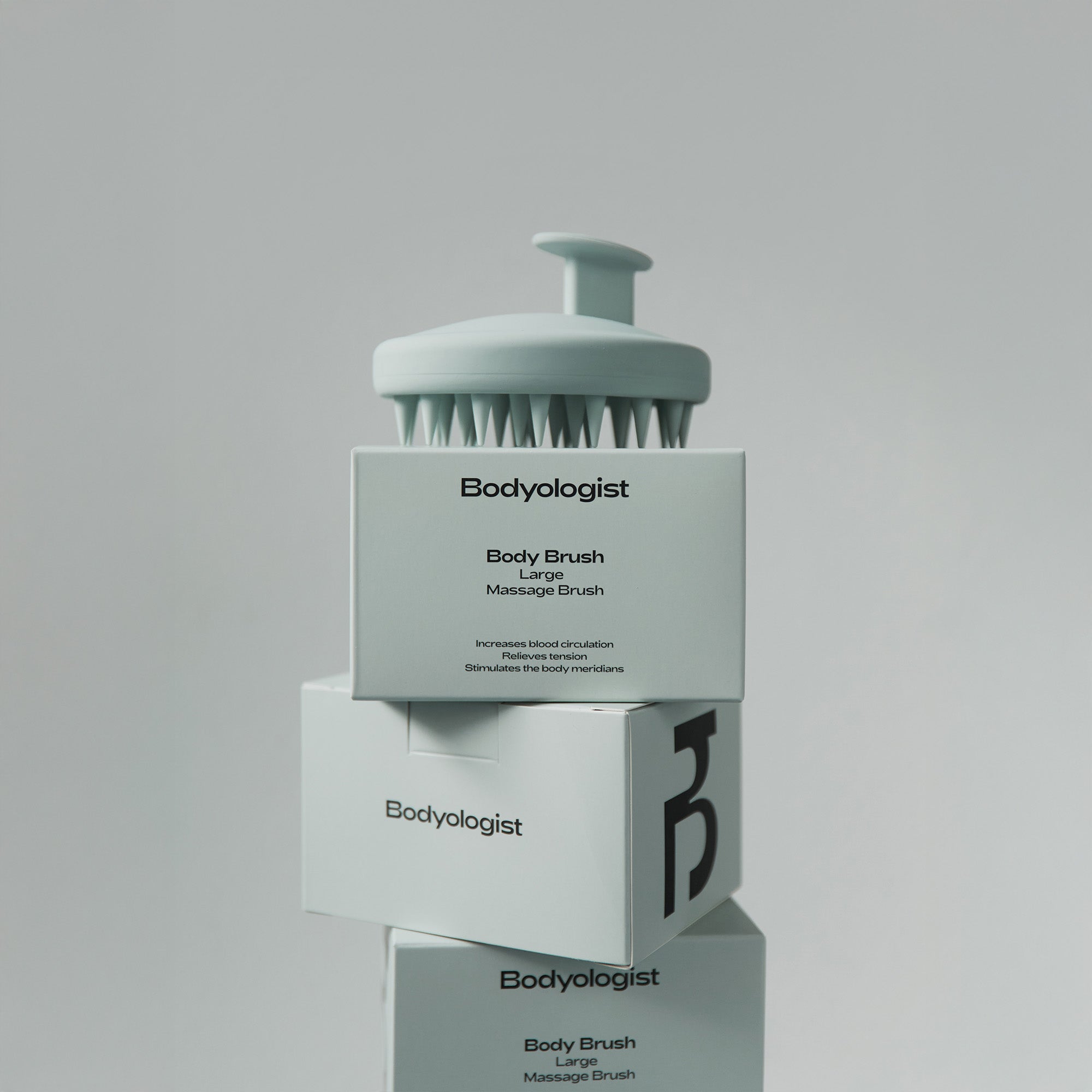 Body Brush