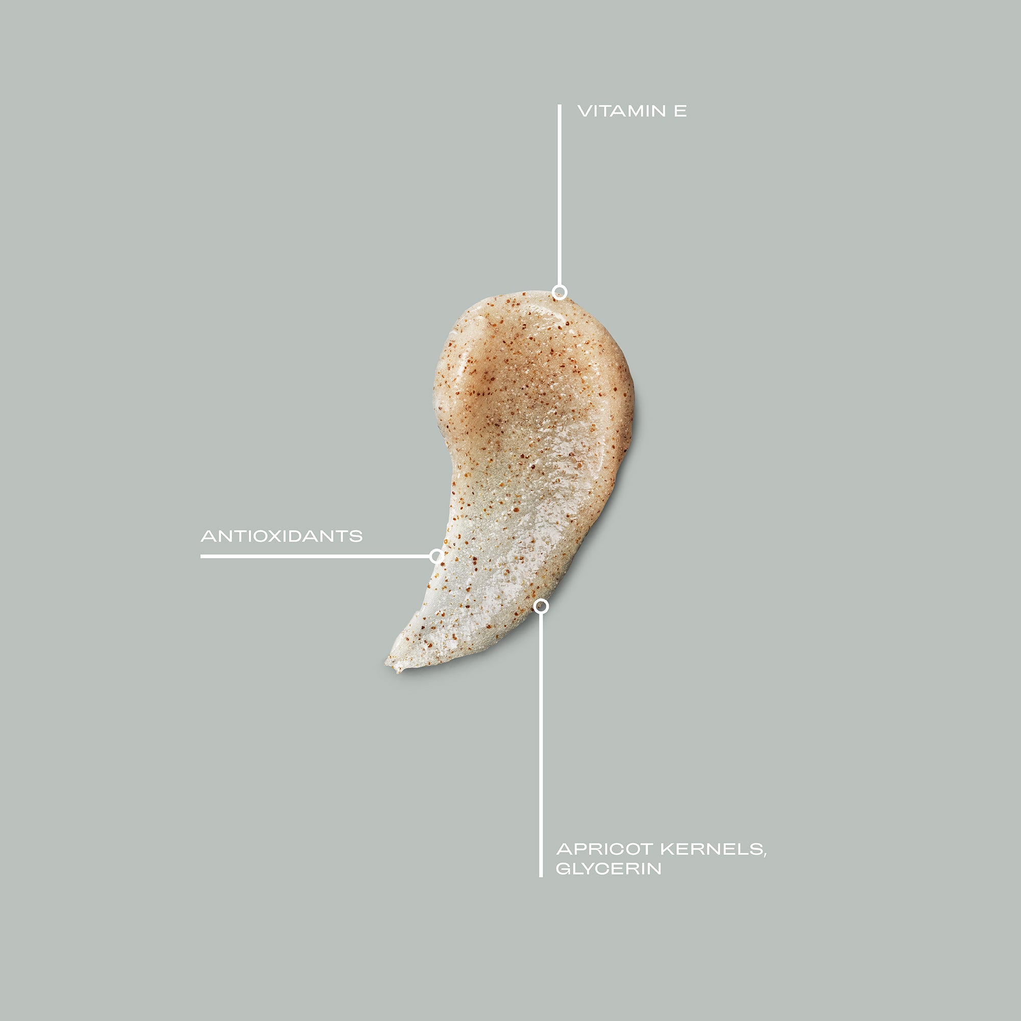 Everyday Polisher - Travel