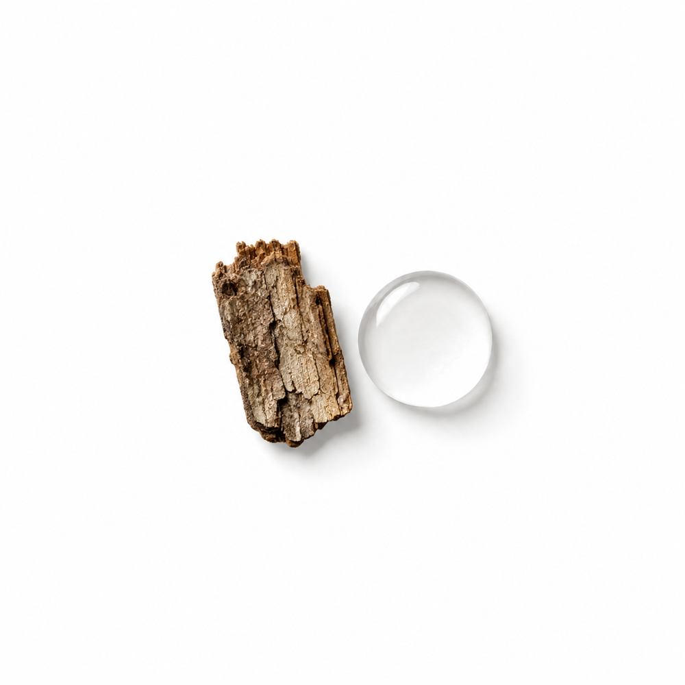 willow bark